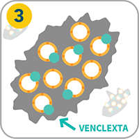 How Venclexta Works - Step 3